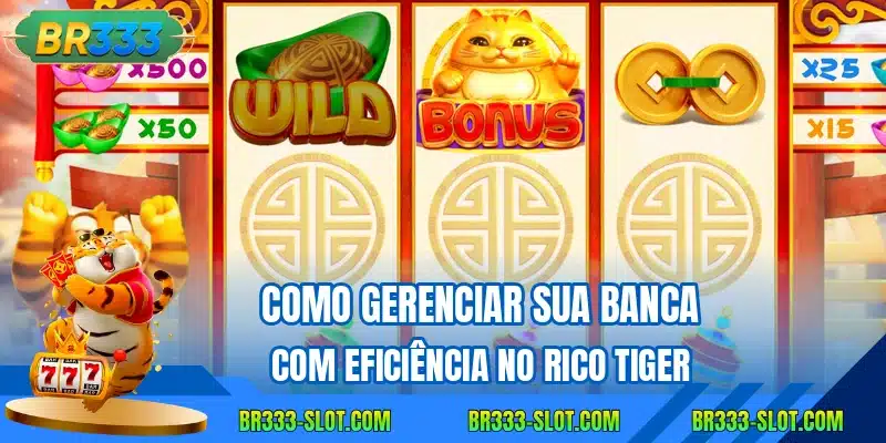 Como gerenciar sua banca com eficiência no Rico Tiger