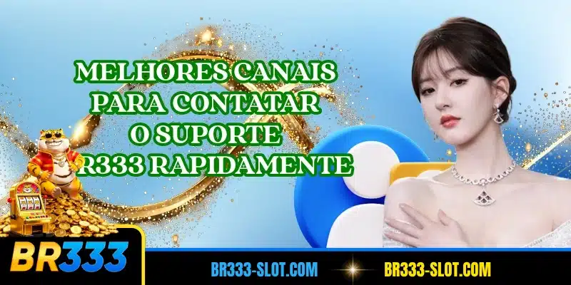 Melhores canais para contatar o suporte BR333 rapidamente