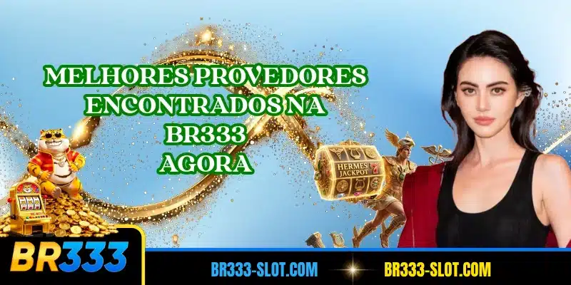 Melhores provedores encontrados na BR333 agora