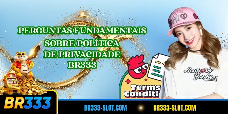 Perguntas fundamentais sobre política de privacidade BR333