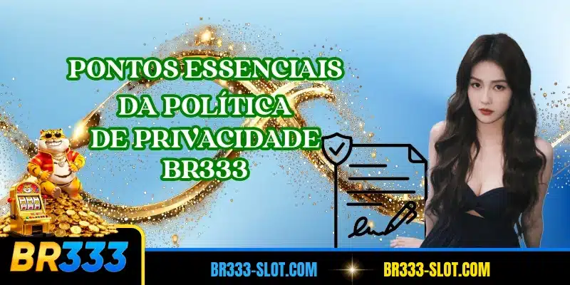 Pontos essenciais da política de privacidade BR333