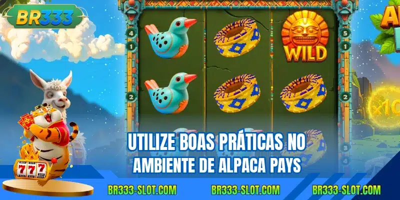 Utilize boas práticas no ambiente de Alpaca Pays